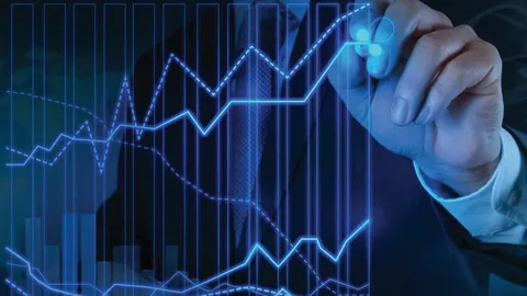 Your Beginner's Guide to Smart Stock Investing